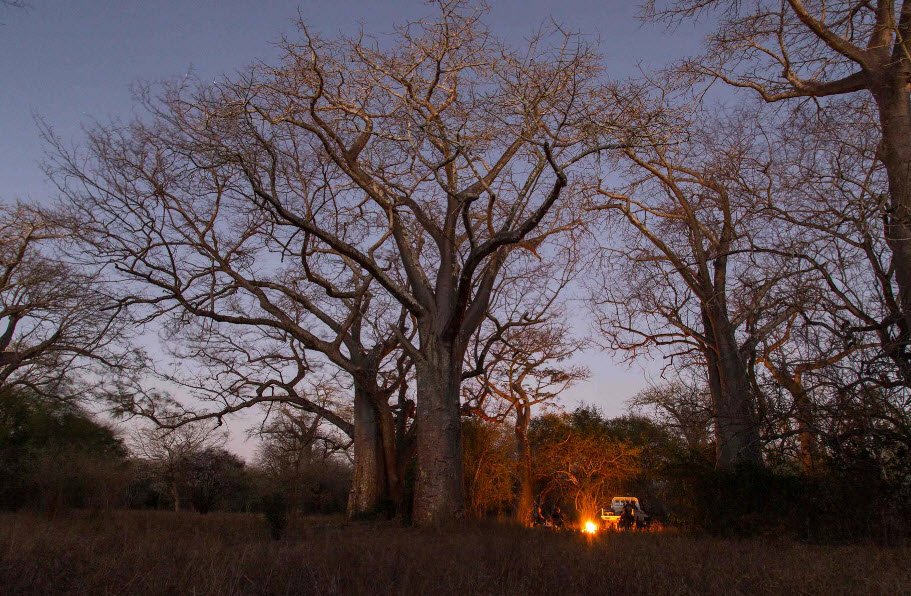 Zinave National Park, Inhambane Province, Mozambique